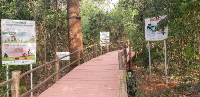 Turismo trilha-ecologica